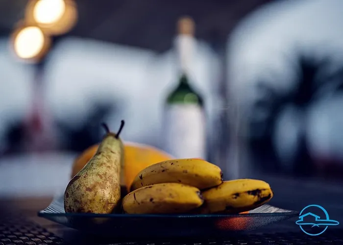 La Violeta בית הארחה